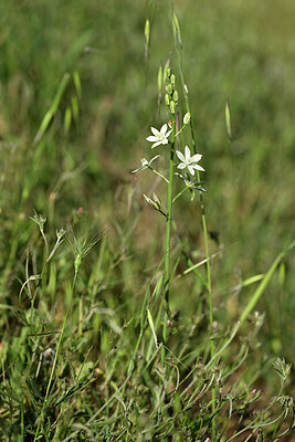 BUITEN BEELD Foto: 440896
