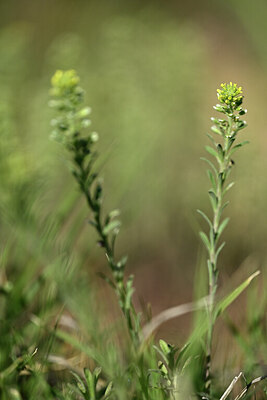 BUITEN BEELD Foto: 440902