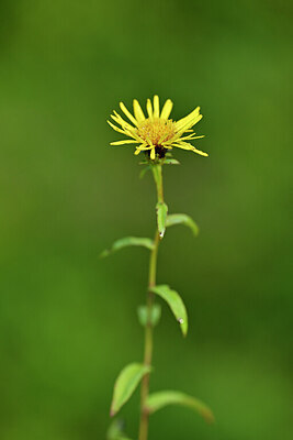BUITEN BEELD Foto: 440910
