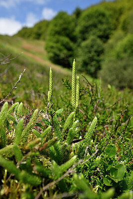 BUITEN BEELD Foto: 440915