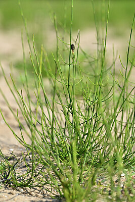 BUITEN BEELD Foto: 440916