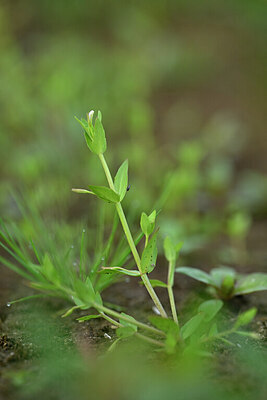 BUITEN BEELD Foto: 440917
