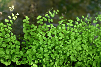 BUITEN BEELD Foto: 440924