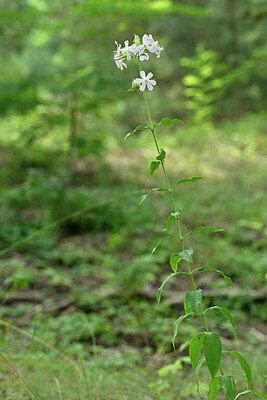 BUITEN BEELD Foto: 440927