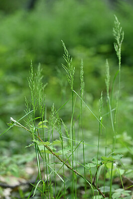 BUITEN BEELD Foto: 440959