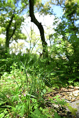 BUITEN BEELD Foto: 440972