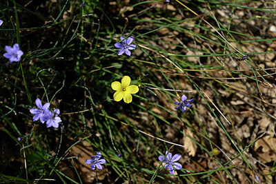BUITEN BEELD Foto: 440978