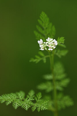 BUITEN BEELD Foto: 441003