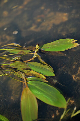 BUITEN BEELD Foto: 441004