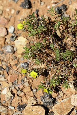 BUITEN BEELD Foto: 441009