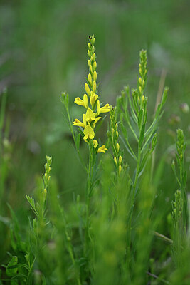 BUITEN BEELD Foto: 441011