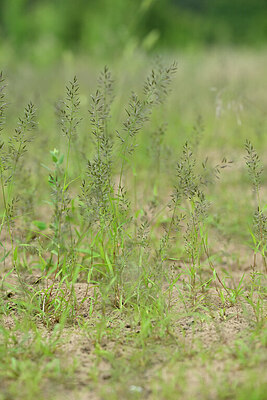 BUITEN BEELD Foto: 441013