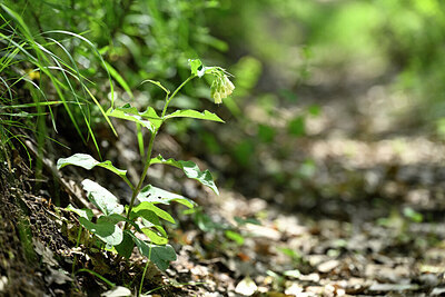 BUITEN BEELD Foto: 441019