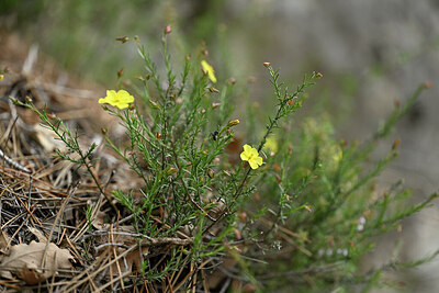 BUITEN BEELD Foto: 441025