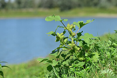 BUITEN BEELD Foto: 441034