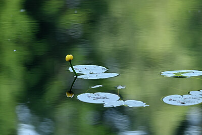 BUITEN BEELD Foto: 441050