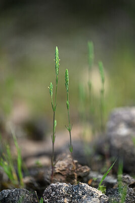 BUITEN BEELD Foto: 441070
