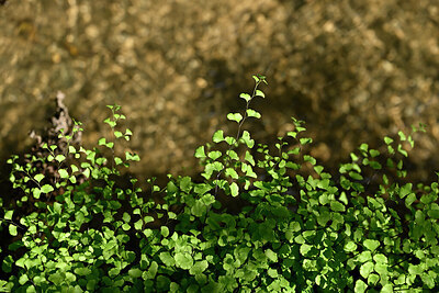 BUITEN BEELD Foto: 441094