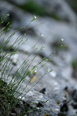 BUITEN BEELD Foto: 441105