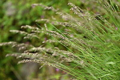 BUITEN BEELD Foto: 441131