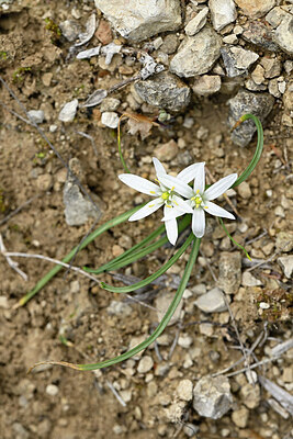 BUITEN BEELD Foto: 441133