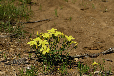 BUITEN BEELD Foto: 441149
