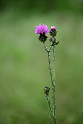 BUITEN BEELD Foto: 441167