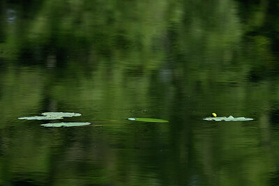 BUITEN BEELD Foto: 441180