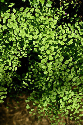BUITEN BEELD Foto: 441197