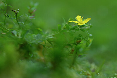 BUITEN BEELD Foto: 441221