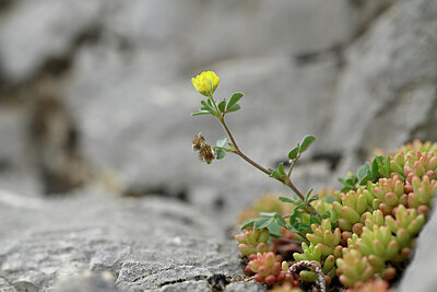 BUITEN BEELD Foto: 441223