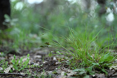 BUITEN BEELD Foto: 441224