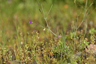 BUITEN BEELD Foto: 441231