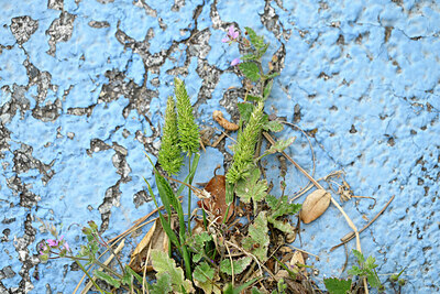 BUITEN BEELD Foto: 441234