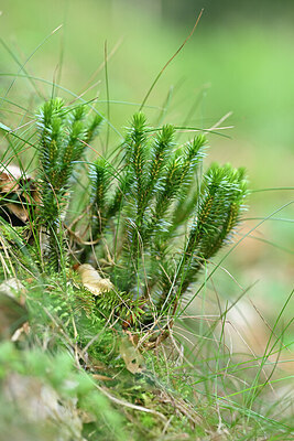 BUITEN BEELD Foto: 441254