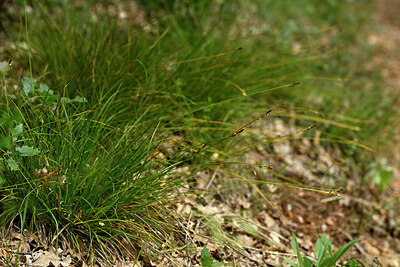 BUITEN BEELD Foto: 441267