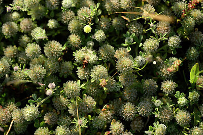 BUITEN BEELD Foto: 441324