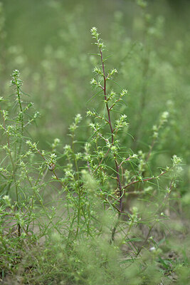 BUITEN BEELD Foto: 441330