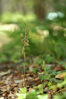 BUITEN BEELD Foto: 441333