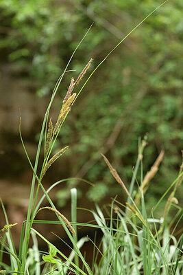 BUITEN BEELD Foto: 441335