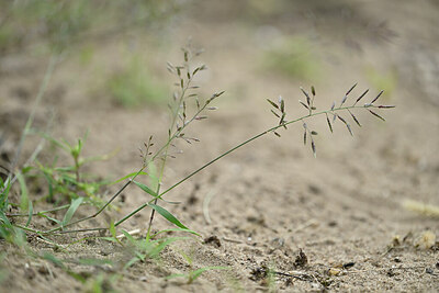 BUITEN BEELD Foto: 441344