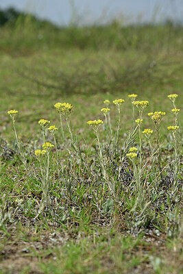 BUITEN BEELD Foto: 441361