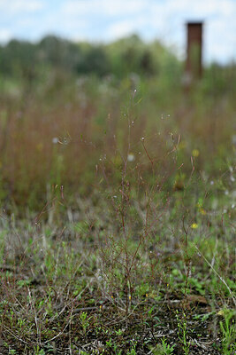 BUITEN BEELD Foto: 441367