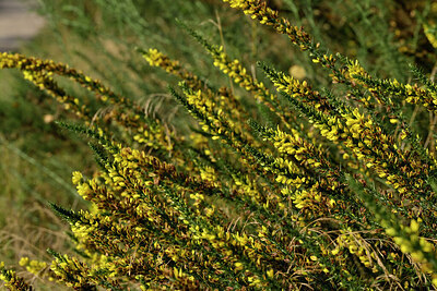 BUITEN BEELD Foto: 441368