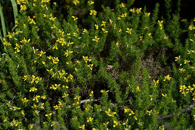 BUITEN BEELD Foto: 441369