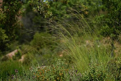 BUITEN BEELD Foto: 441374
