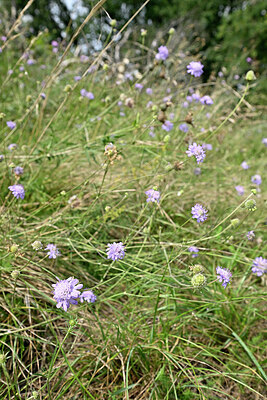 BUITEN BEELD Foto: 441378