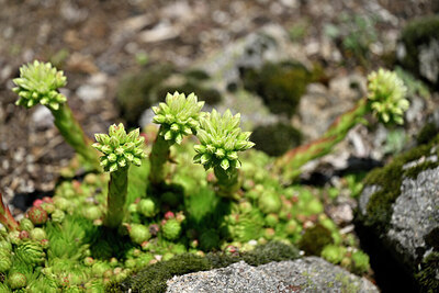 BUITEN BEELD Foto: 441381
