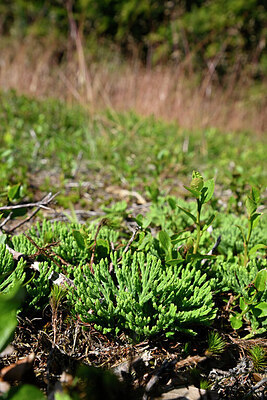 BUITEN BEELD Foto: 441388