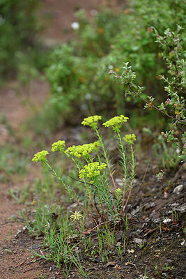 BUITEN BEELD Foto: 441415